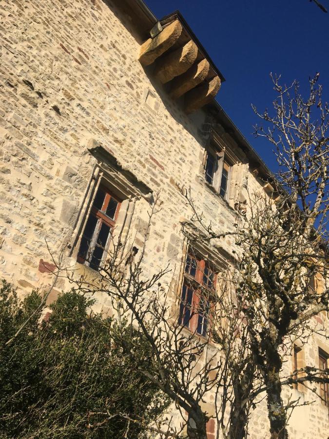 Le Chateau De Lunel Saint-Felix-de-Lunel Exterior photo